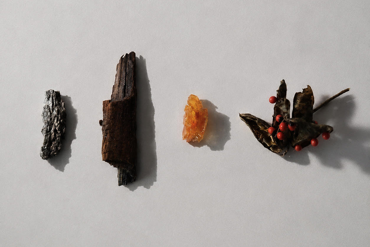 Aromatic materials representing The Poet beard oil scent profile, including dark woods, resin, and red tea.